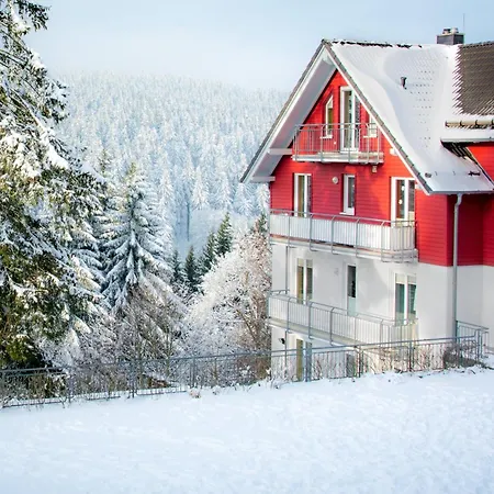 Tannenblick 1-3 Daire *